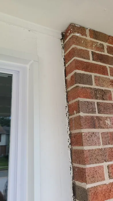 Mold Pros PA Picture 5