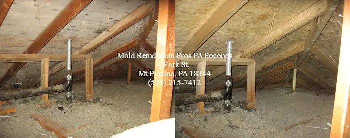 Mold Pros PA Picture 8
