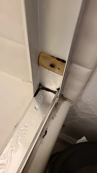 Mold Pros PA Picture 1