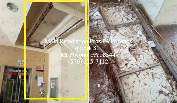 Mold Pros PA Picture 10
