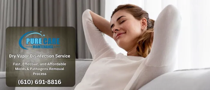 Pure Care Maintenance: Mold Removal Picture 1