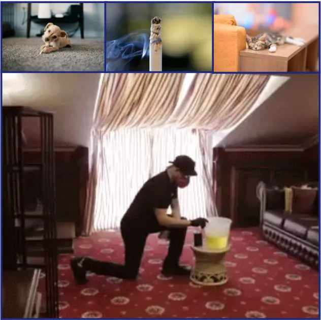 Pure Care Maintenance: Mold Removal Picture 4