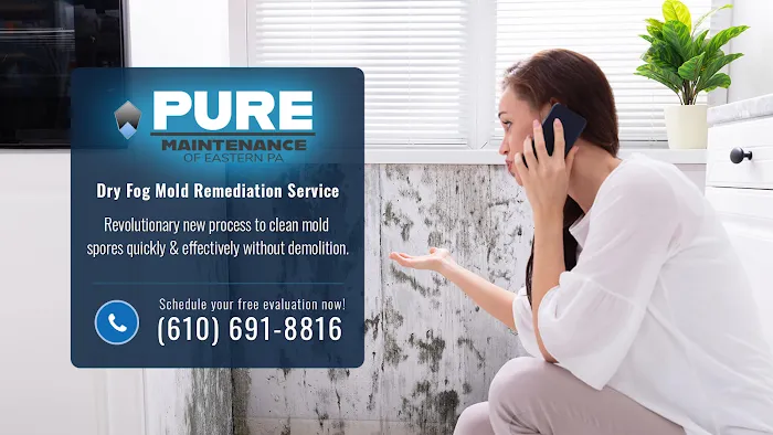 Pure Care Maintenance: Mold Removal Picture 7