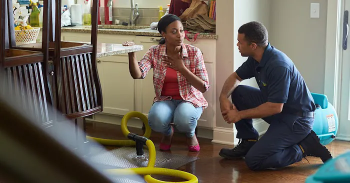 ServiceMaster Fire & Water Clean Up Picture 9