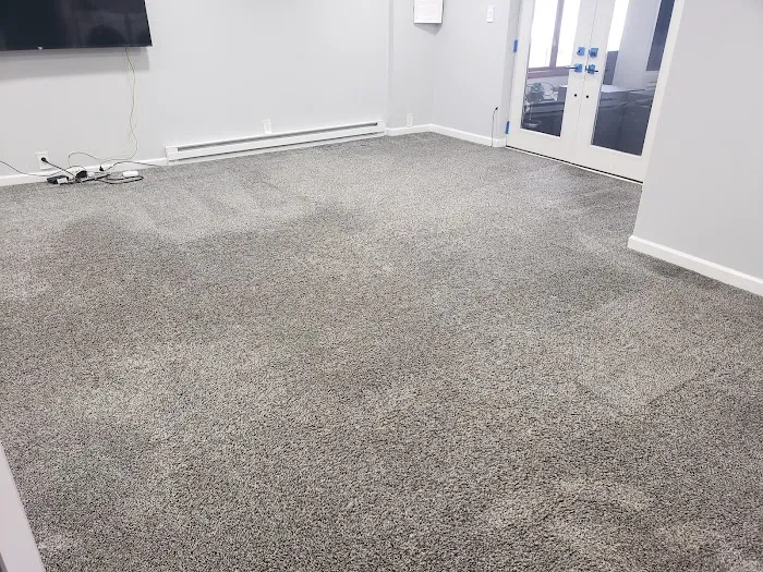 Stanley Steemer Picture 6