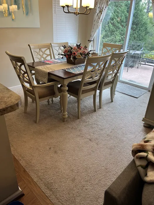 Stanley Steemer Picture 8