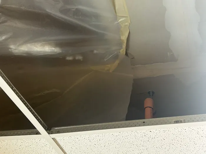 Paul Davis of Central PA Picture 7