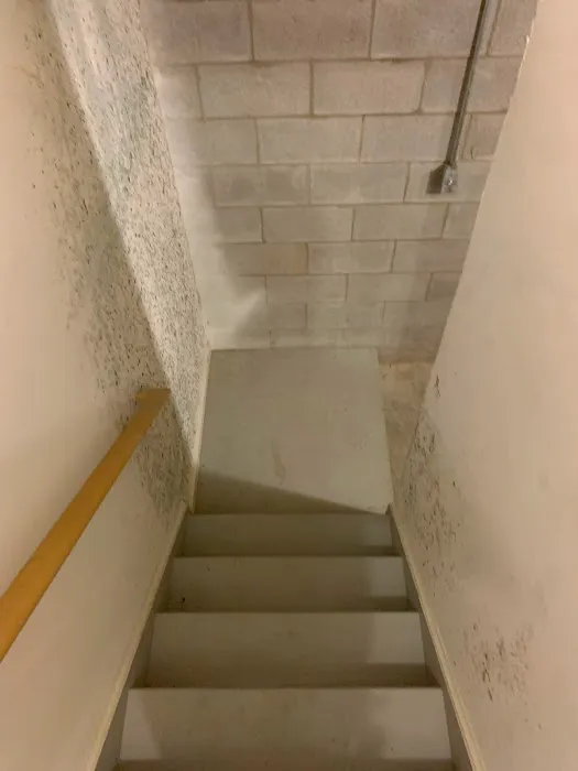 Cleaning Experts Picture 4