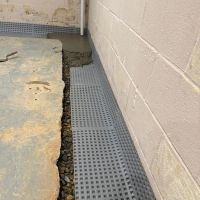 Basement Gurus LLC ico