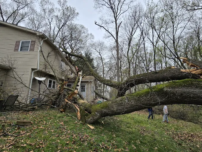 ClassONE Property Restoration Picture 4