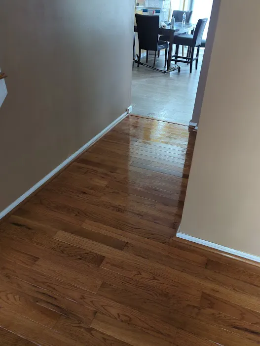 Stanley Steemer Picture 9