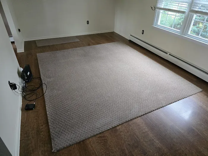 Stanley Steemer Picture 3