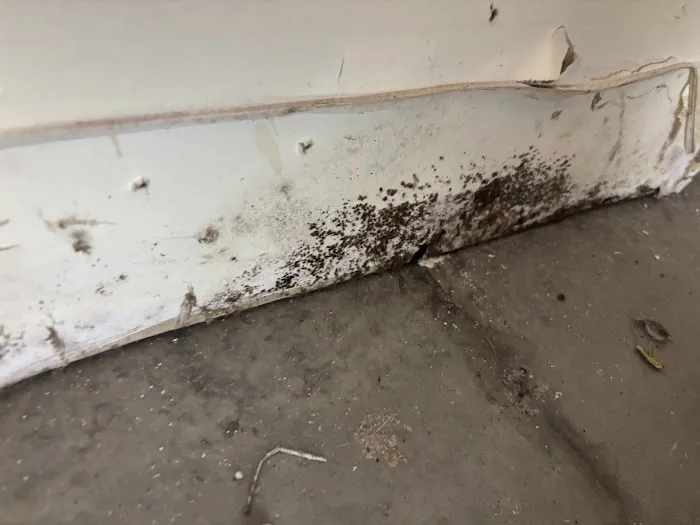 SERVPRO of North East Chester County Picture 4