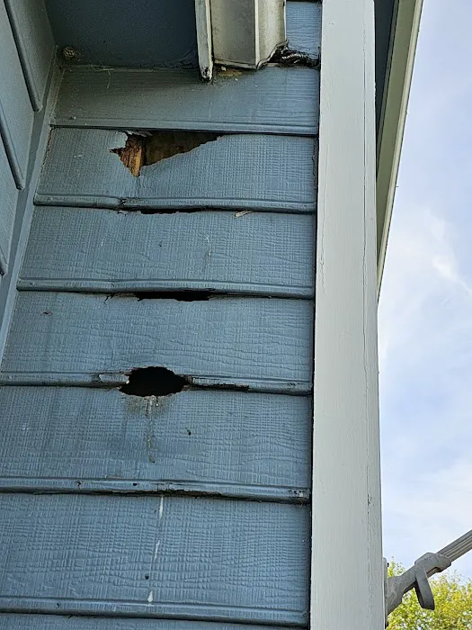 Saga Restoration Group Picture 3