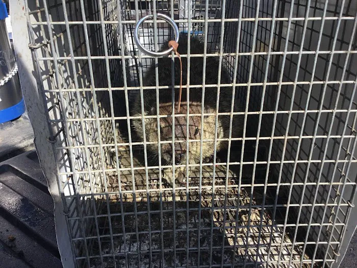 Summit Environmental Solutions Picture 3