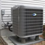 Michael & Son Services