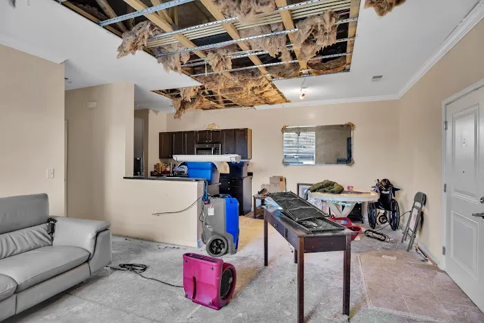 Professional Building Maintenance Picture 6