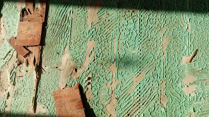 Virginia Restoration Experts Picture 1