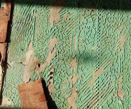 Virginia Restoration Experts