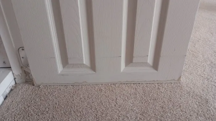 Virginia Restoration Experts Picture 9