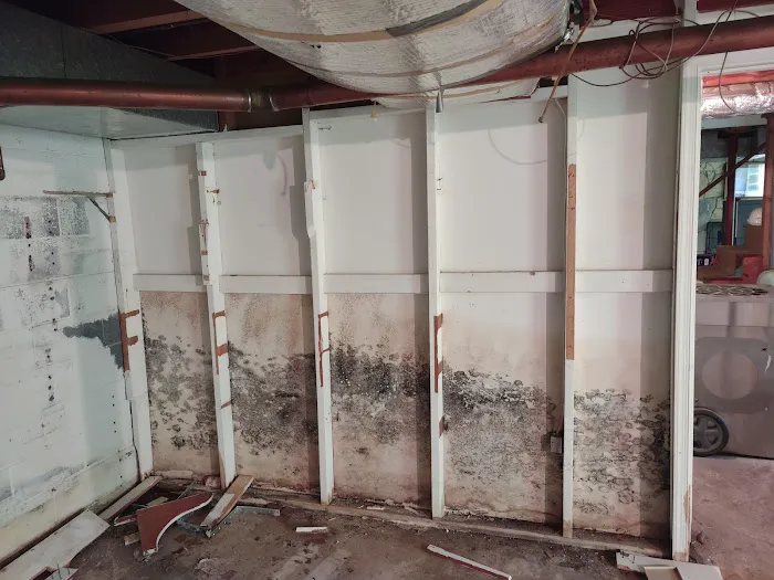 Virginia Restoration Experts Picture 2