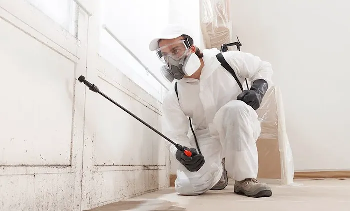 Minuteman Restoration Picture 7