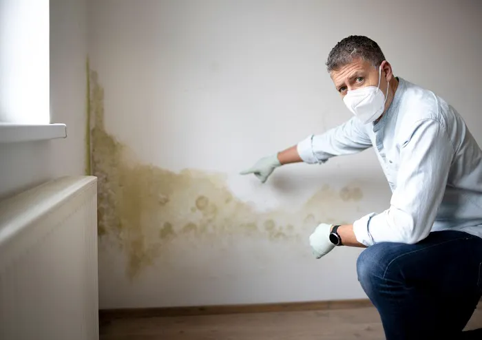 Minuteman Restoration Picture 1