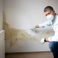 Minuteman Restoration ico