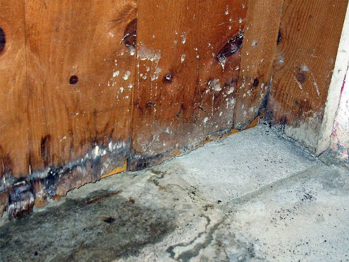 Minuteman Restoration Picture 9