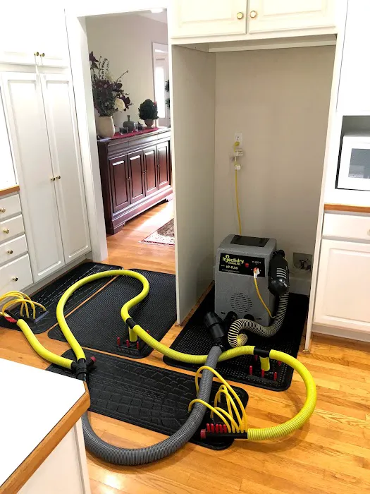 AquaSpores Picture 3