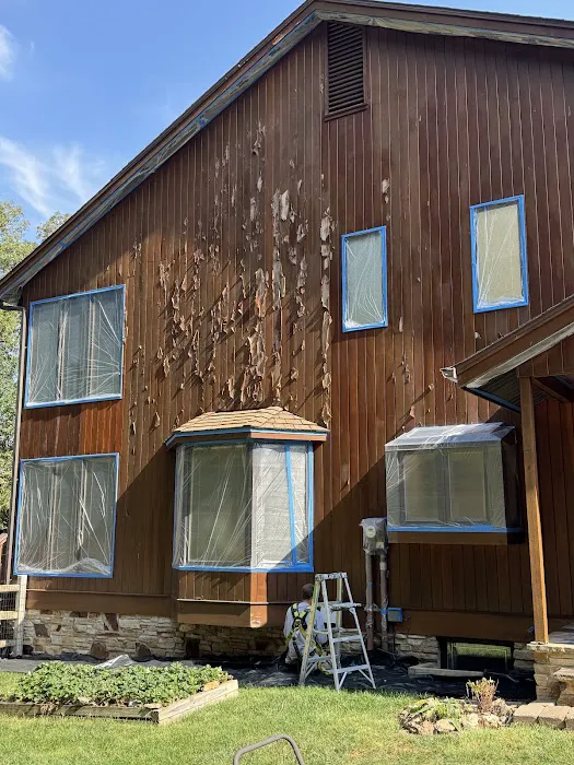 Ausherman Painting Picture 4