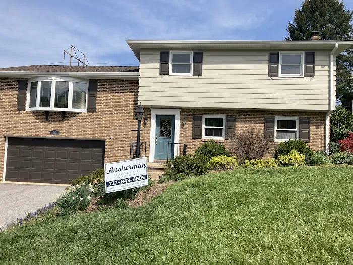 Ausherman Painting Picture 6