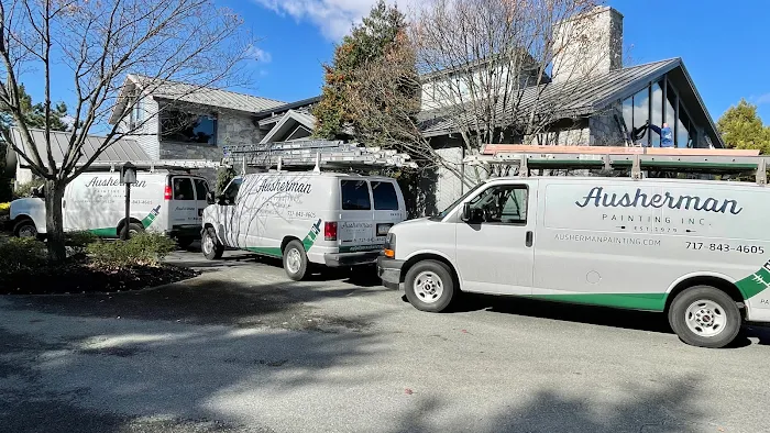 Ausherman Painting Picture 10