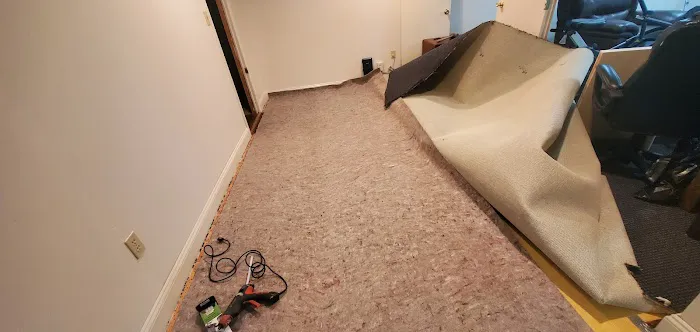 Extreme Carpet Cleaning LLC Picture 1