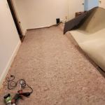 Extreme Carpet Cleaning LLC