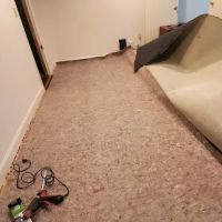 Extreme Carpet Cleaning LLC ico