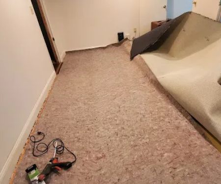 Extreme Carpet Cleaning LLC