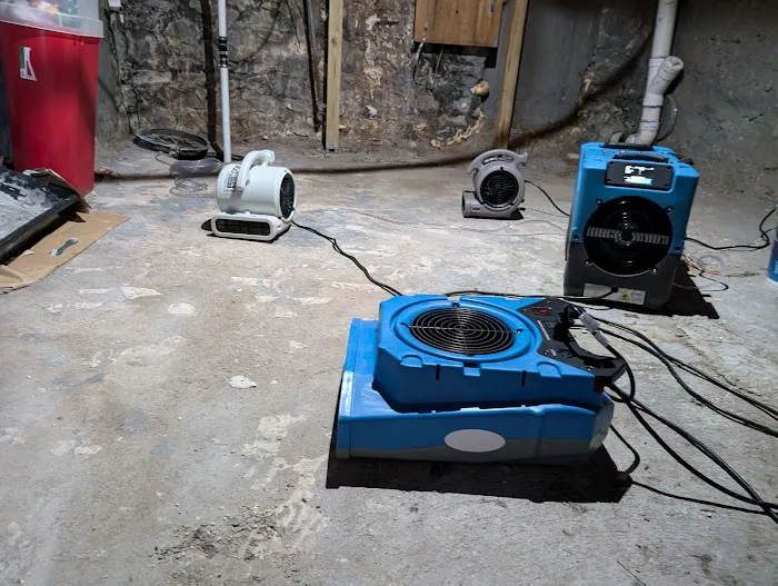 MoveFast Restoration Picture 3