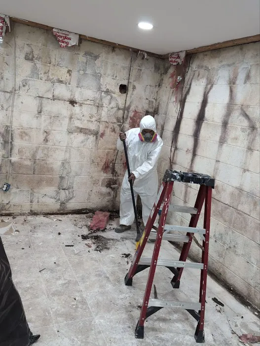 MoveFast Restoration Picture 4