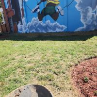 MoveFast Restoration ico