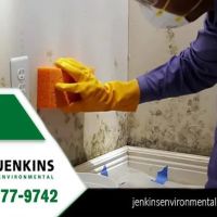 Jenkins Environmental Services ico