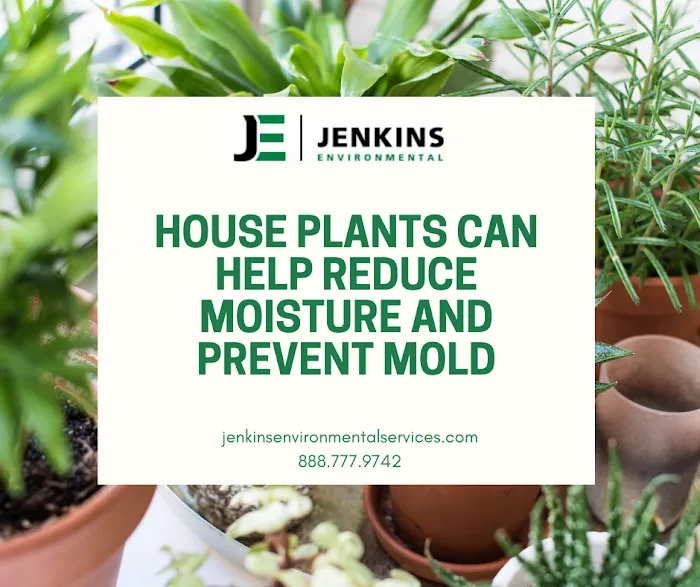 Jenkins Environmental Services Picture 10