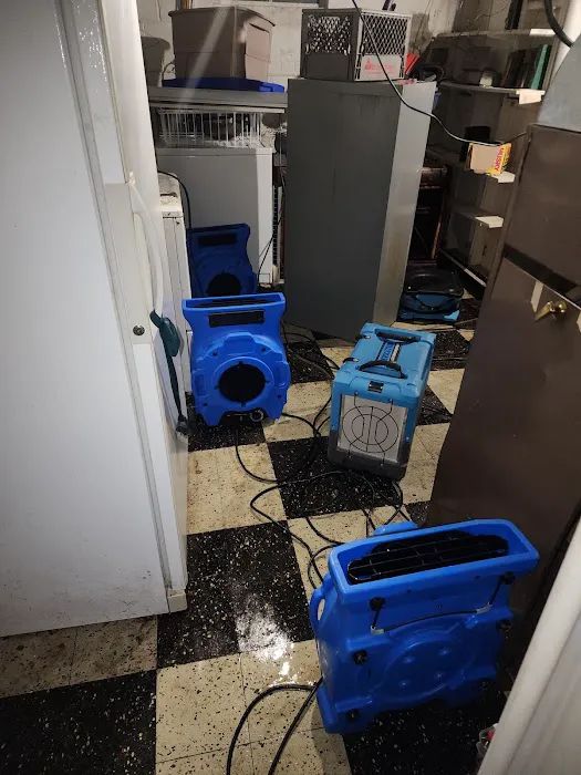 Blue Kangaroo Packoutz of Baltimore Picture 1