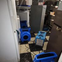 Blue Kangaroo Packoutz of Baltimore ico