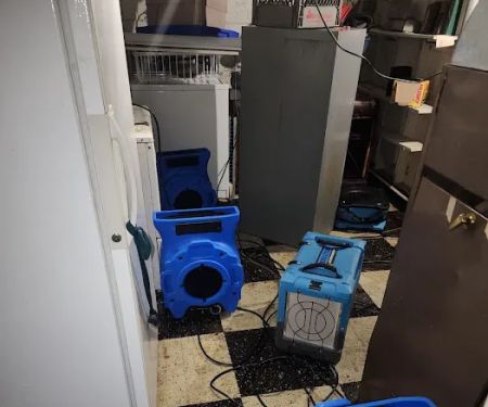 Blue Kangaroo Packoutz of Baltimore