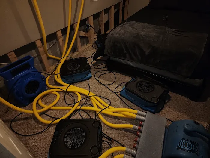 Blue Kangaroo Packoutz of Baltimore Picture 2