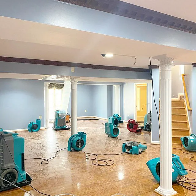 ServiceMaster by Elevate - Baltimore Picture 2