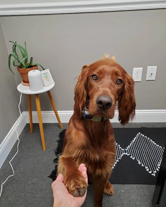 ServiceMaster by Elevate - Baltimore Picture 10