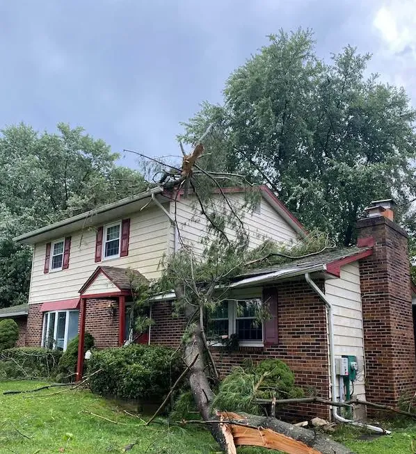 ServiceMaster by Elevate - Baltimore Picture 9