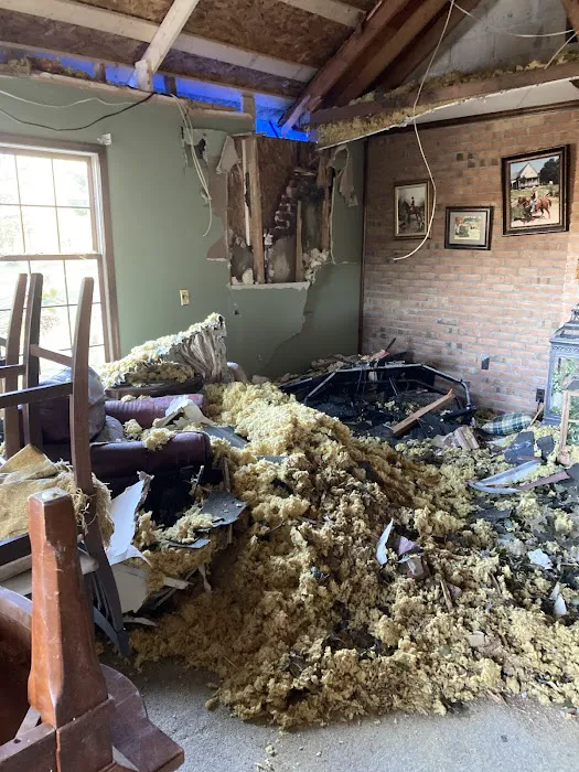 Elegant Restoration, Inc. Picture 8